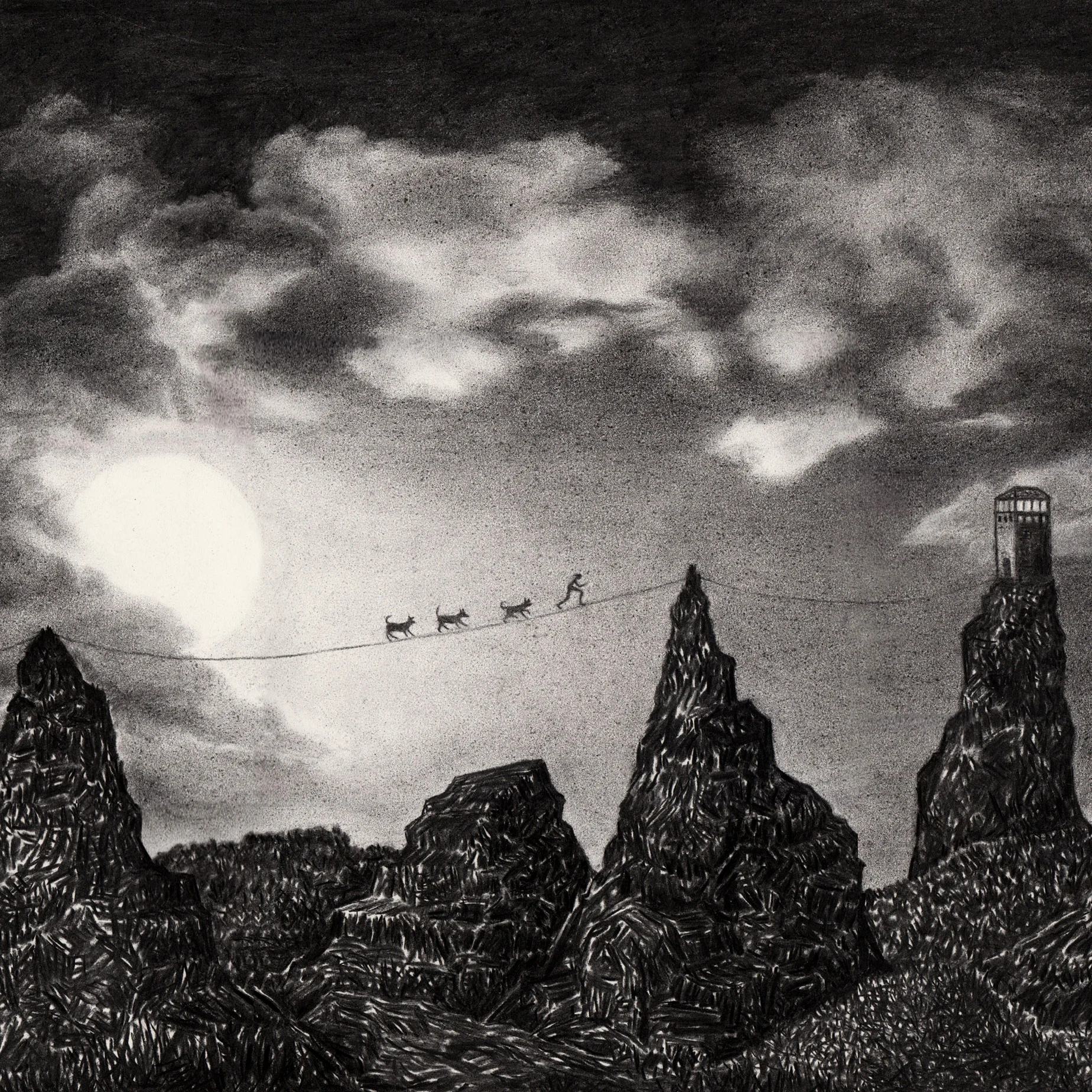 Liz Caffin, a fine line, charcoal on paper.jpg