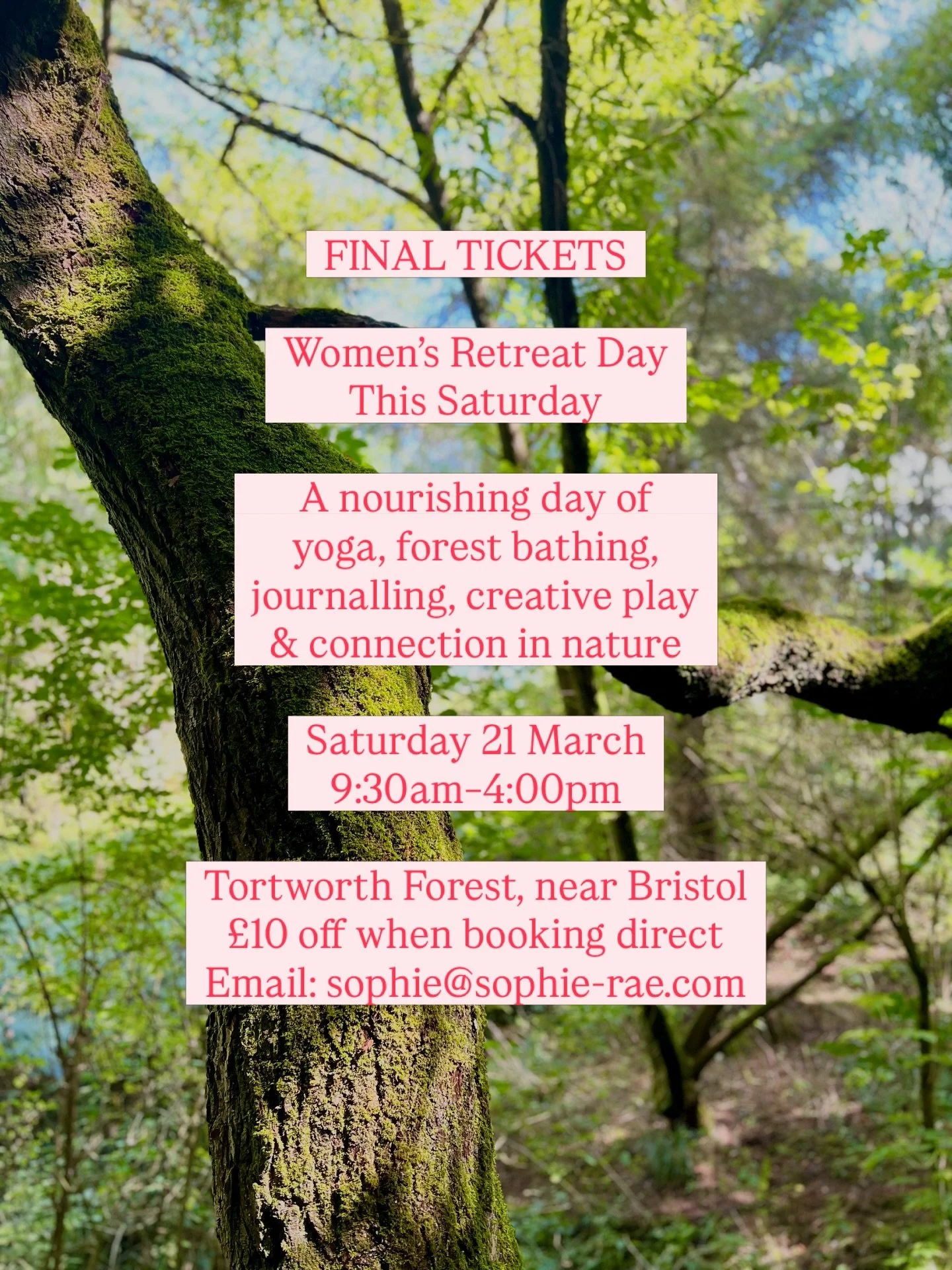 Only two spaces left for our Women&rsquo;s Retreat Day this Saturday 🌿✨ 

Join us for a deeply nourishing day in the woods at Tortworth Forest &amp; Arboretum, just outside Bristol. We&rsquo;ll be welcoming in spring with embodied yoga, forest bathi