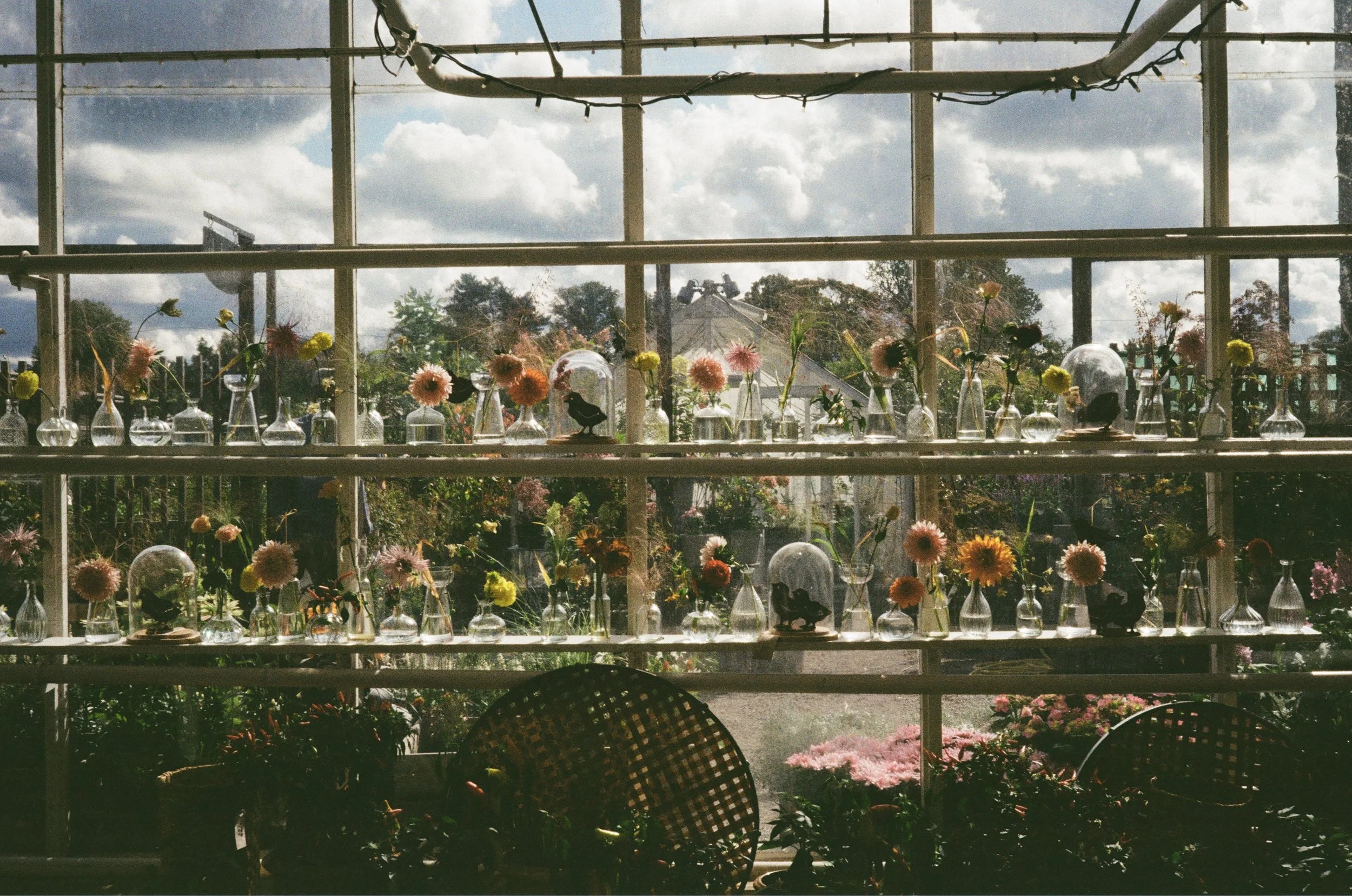 0037_00A.jpg