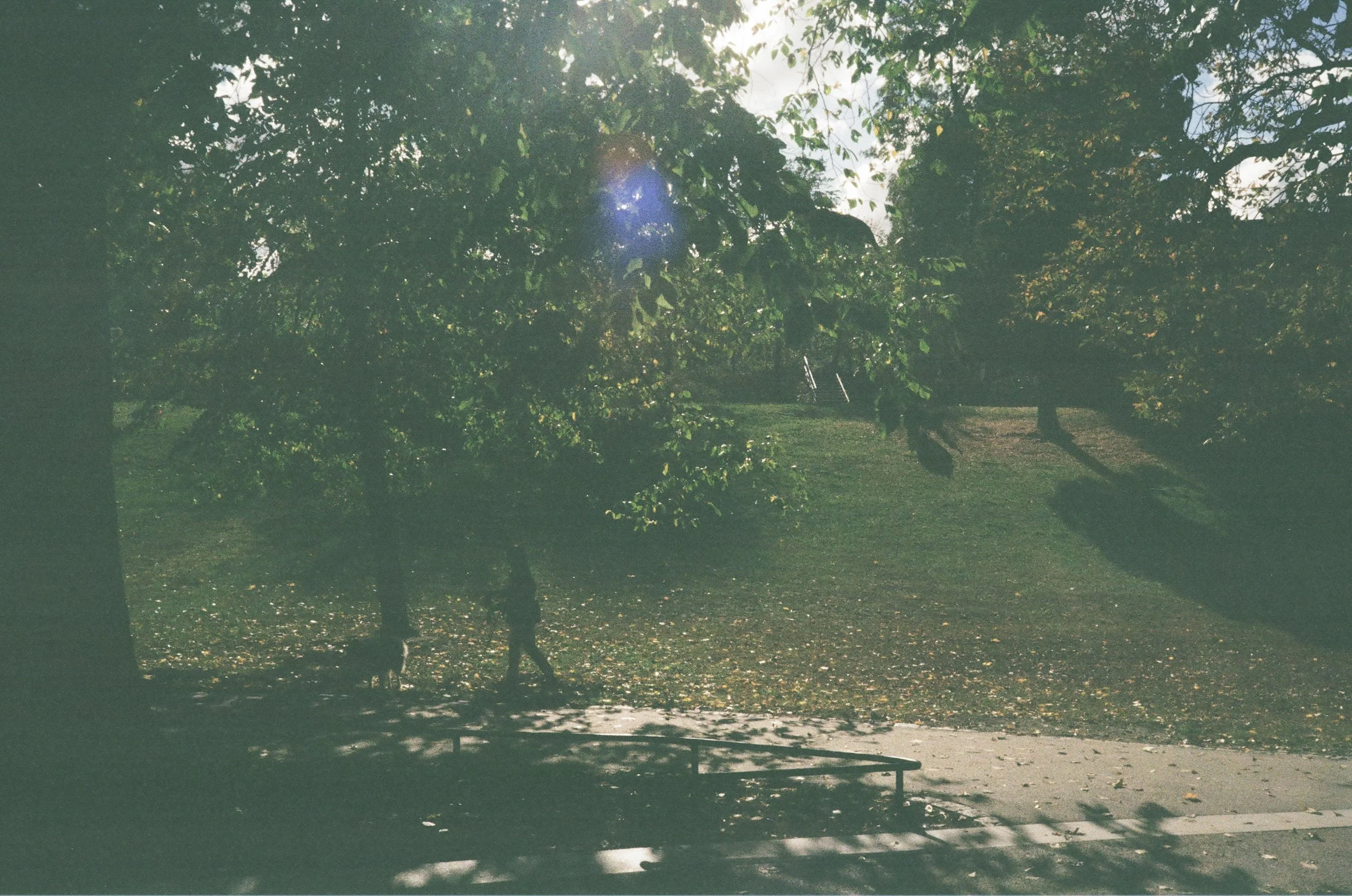 0035_2A.jpg