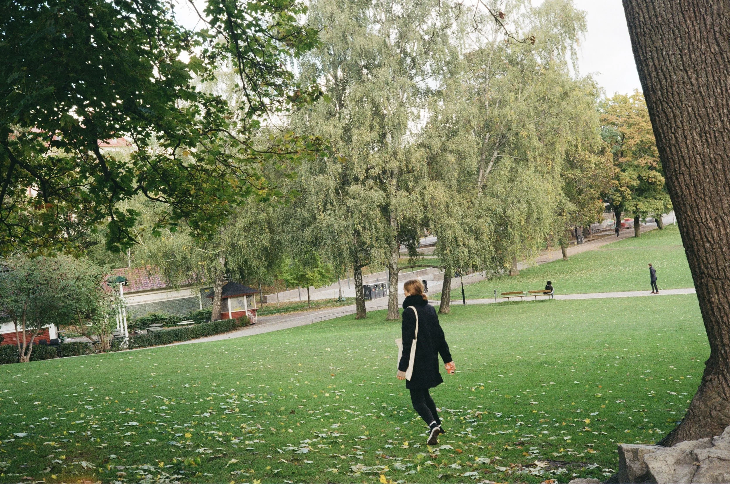 0037_0A.jpg
