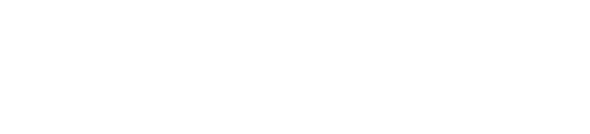 Asset 1 copy_SS_Logo.png