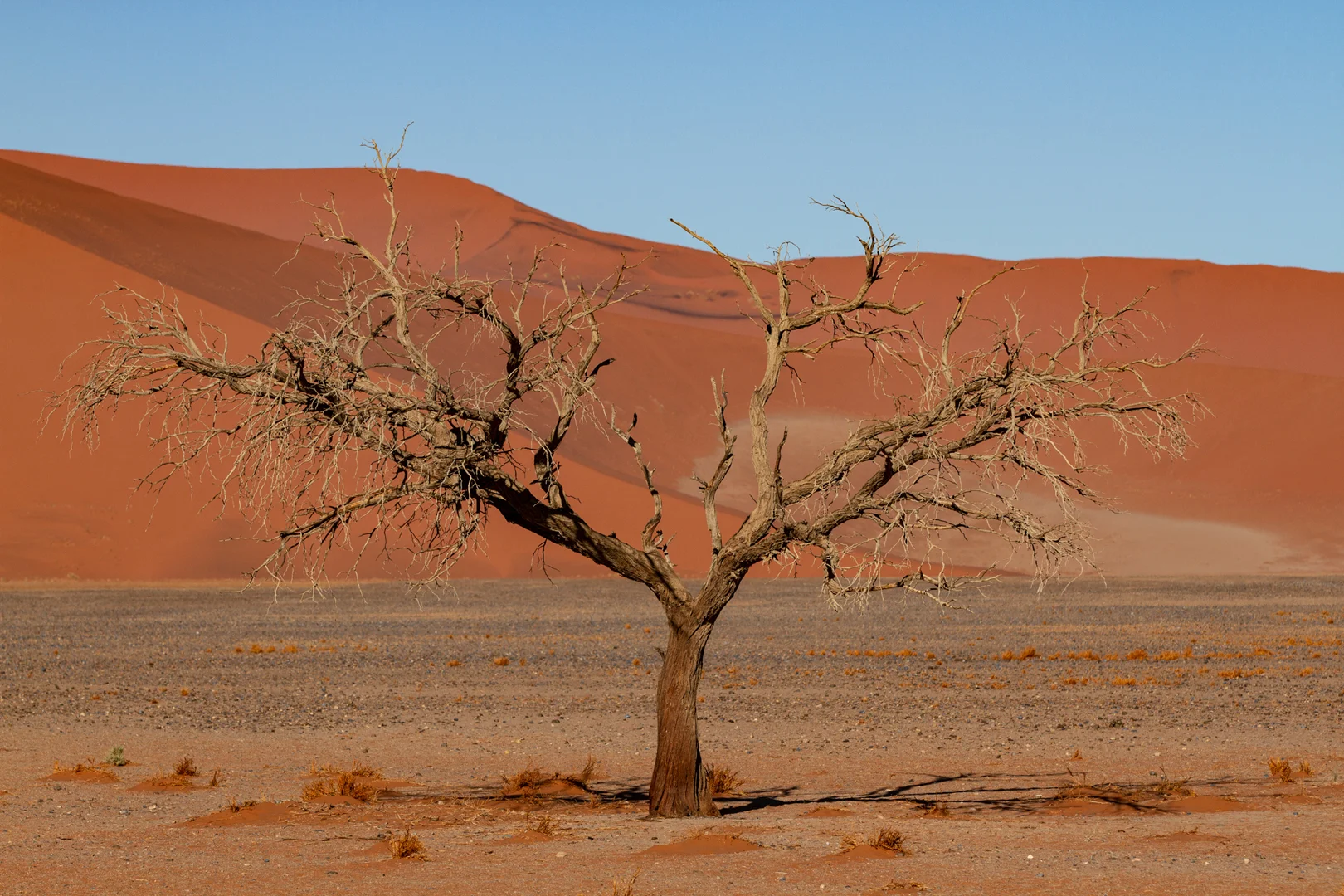 Landschaften29.jpg