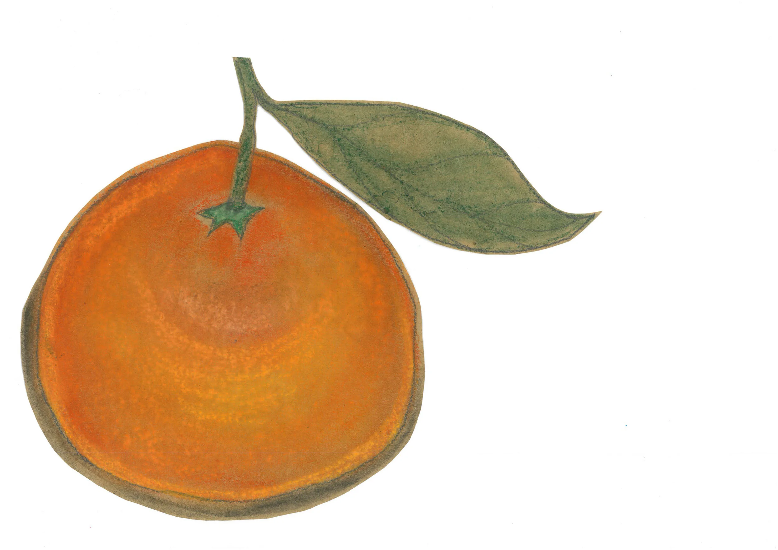 single orange.jpg