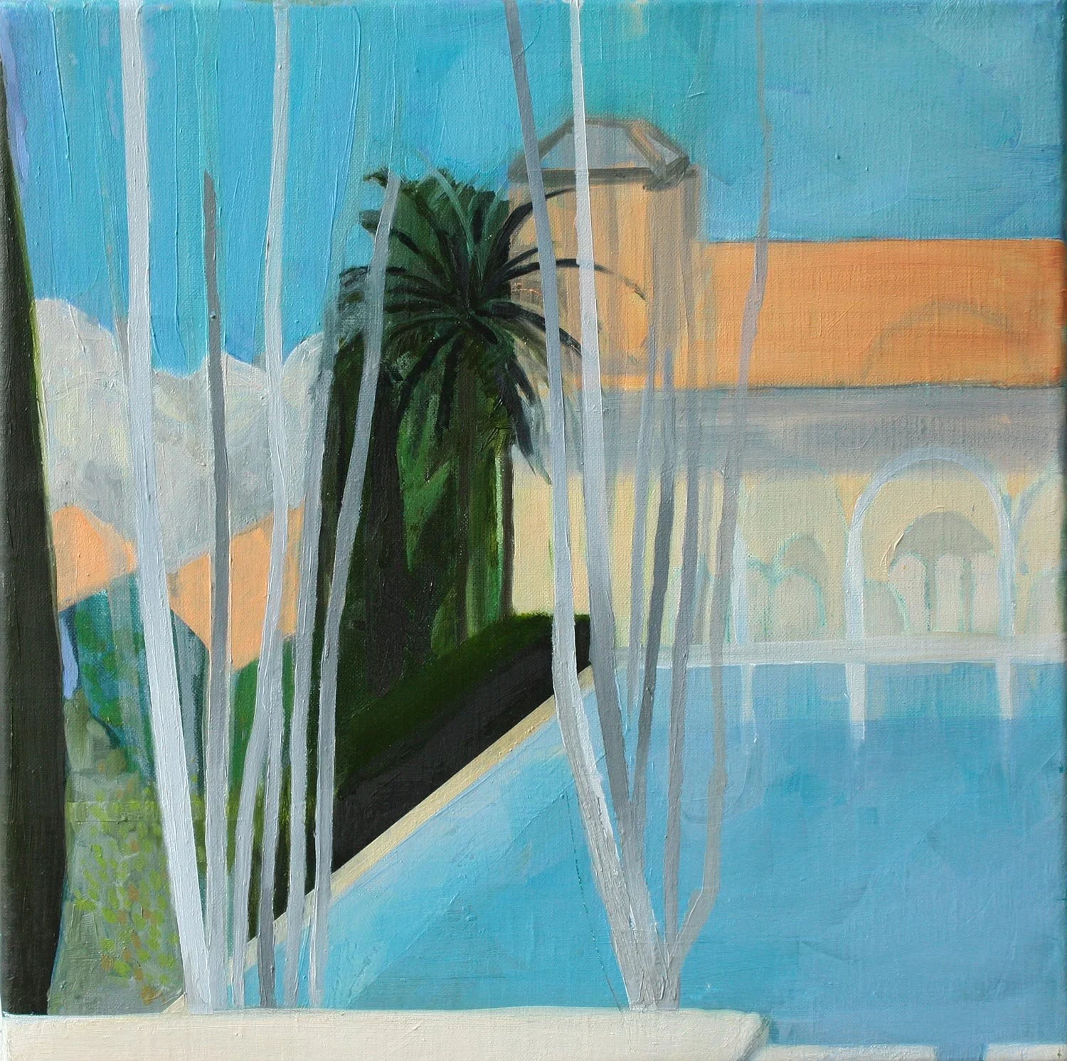 Pool, buildings and tree branches