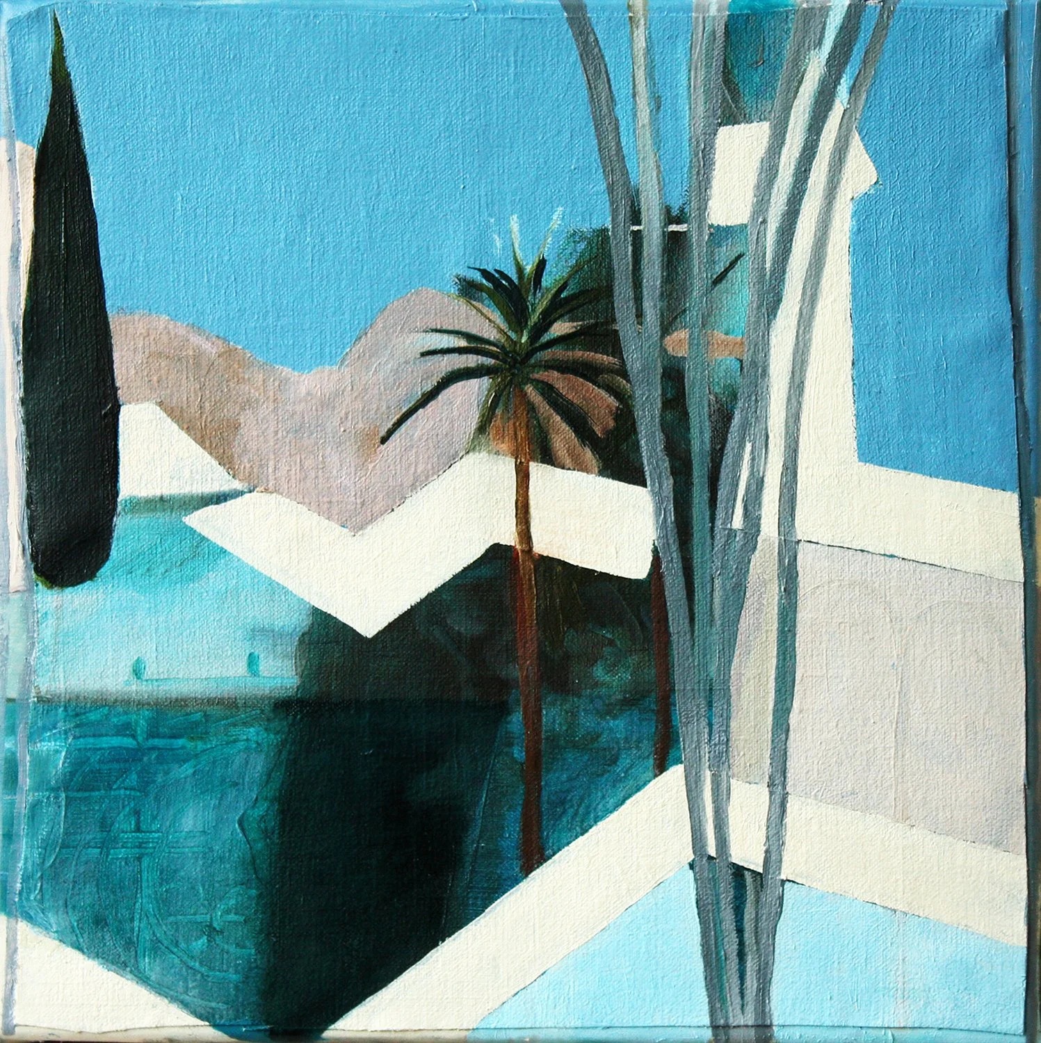 Cypress tree with pool and palm tree