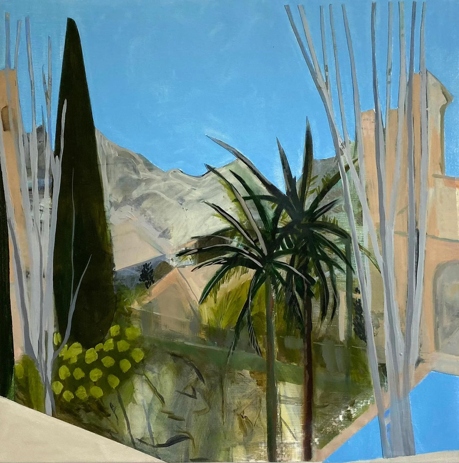 Palm tree, buildings and mountain