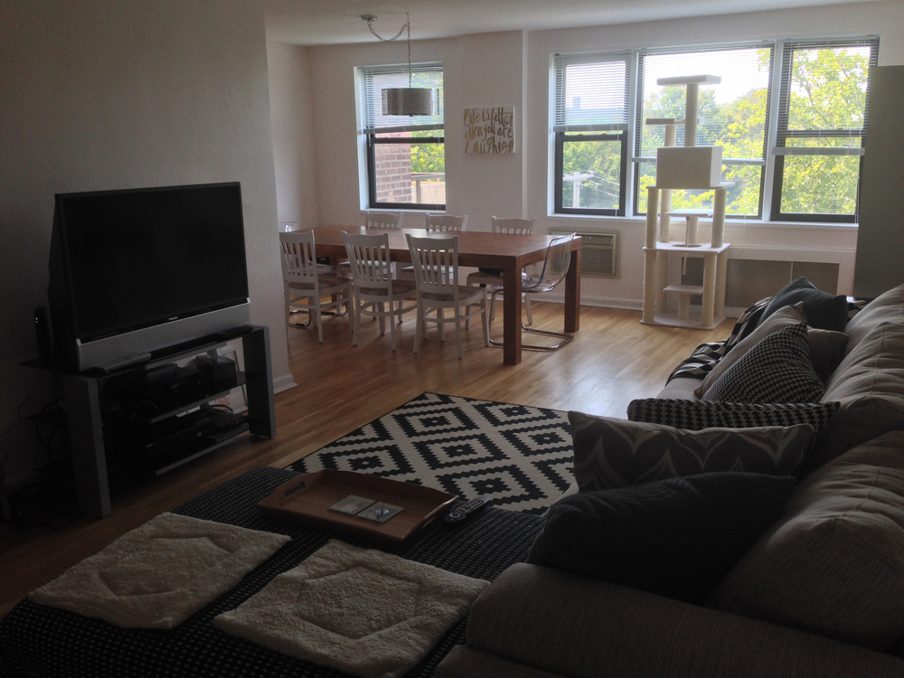 my first place // 3 months in | Amanda Zampelli