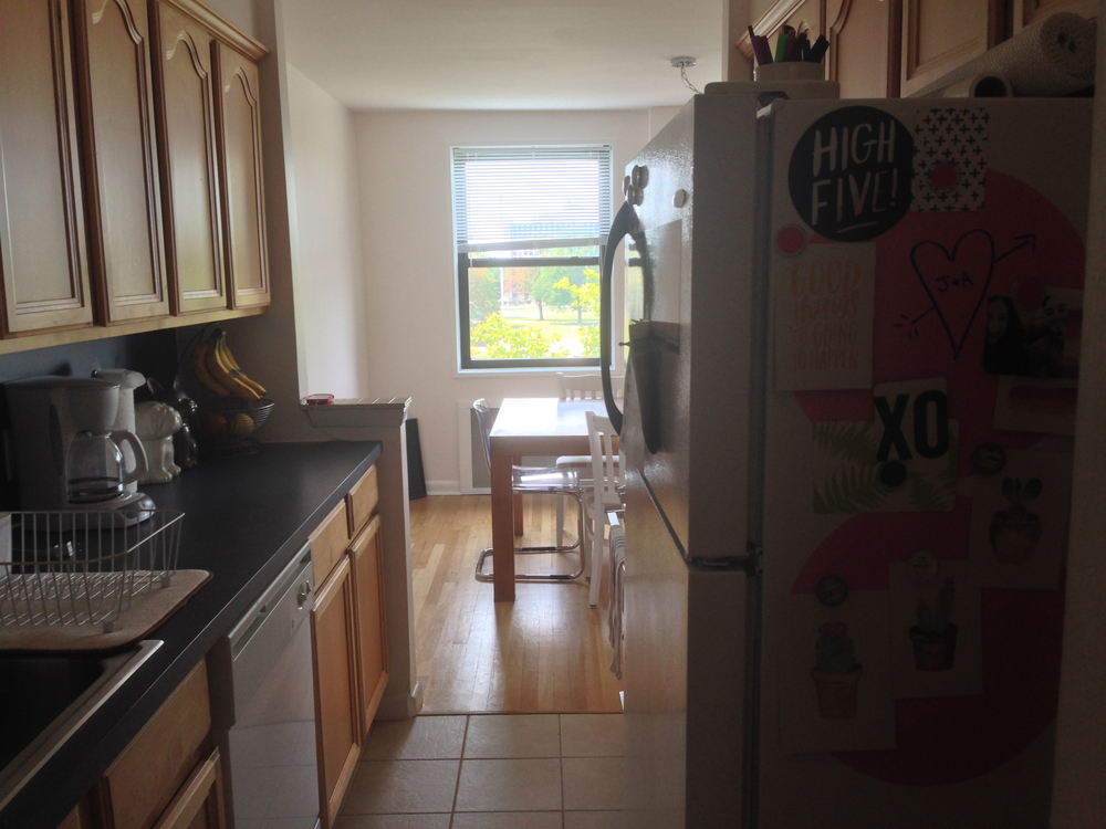 my first place // 3 months in | Amanda Zampelli