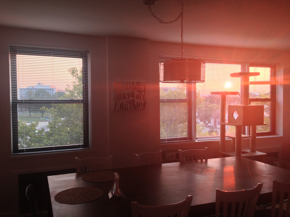 my first place // 3 months in | Amanda Zampelli