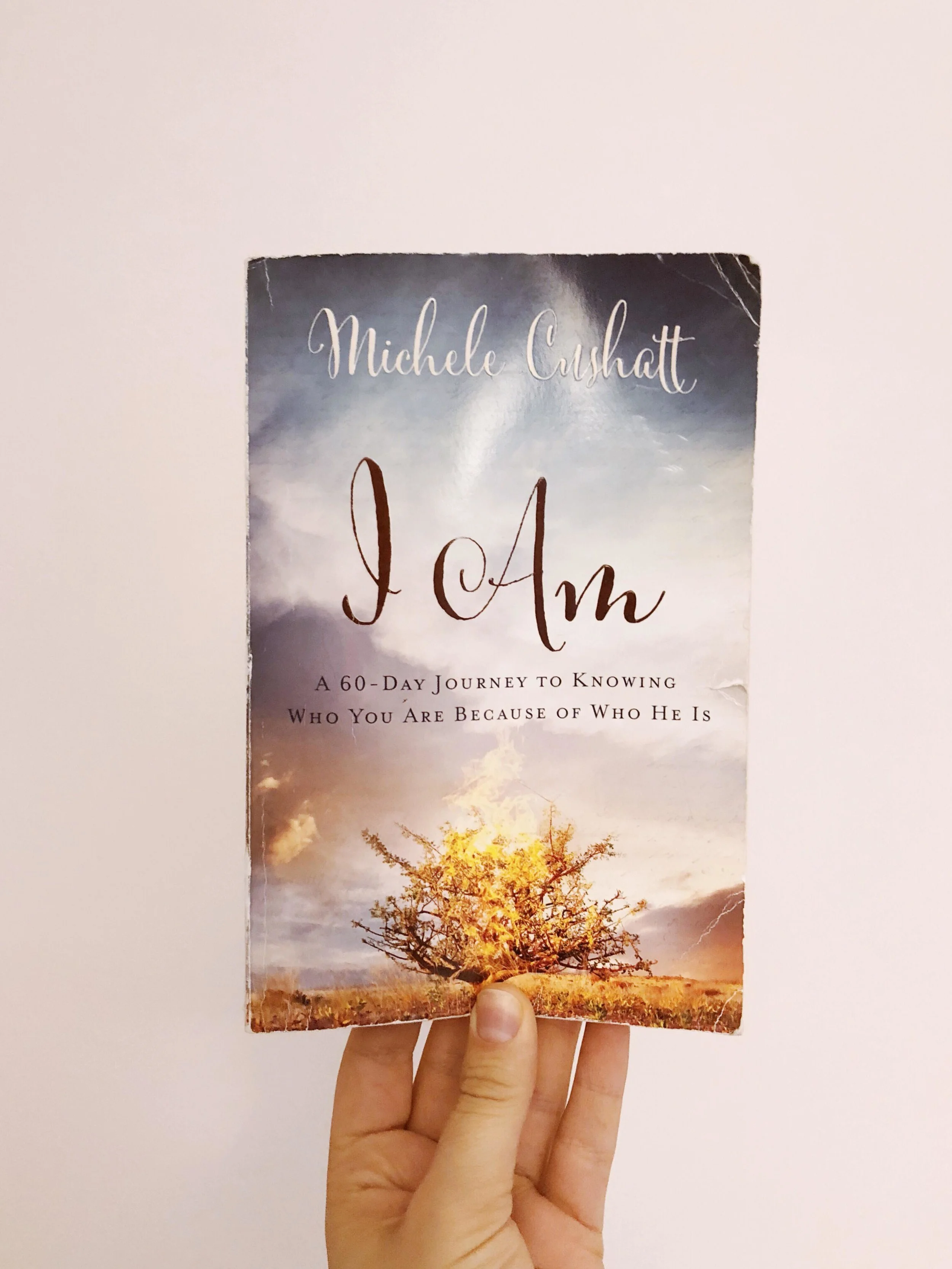 I Am by Michele Cushatt | Amanda Zampelli