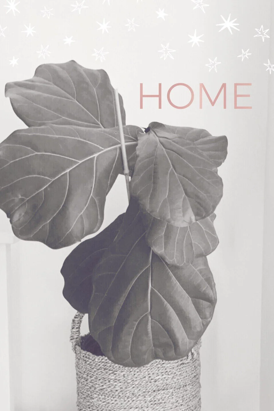 one little word™ 2020: HOME