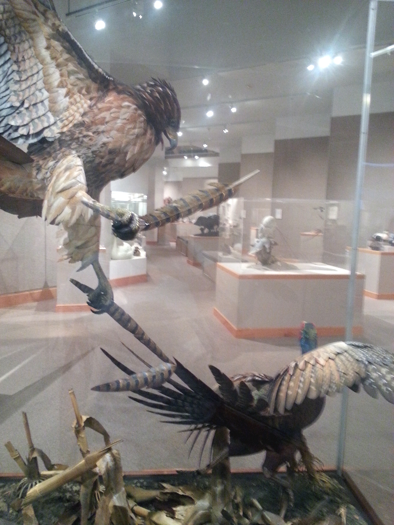 Birds are jerks