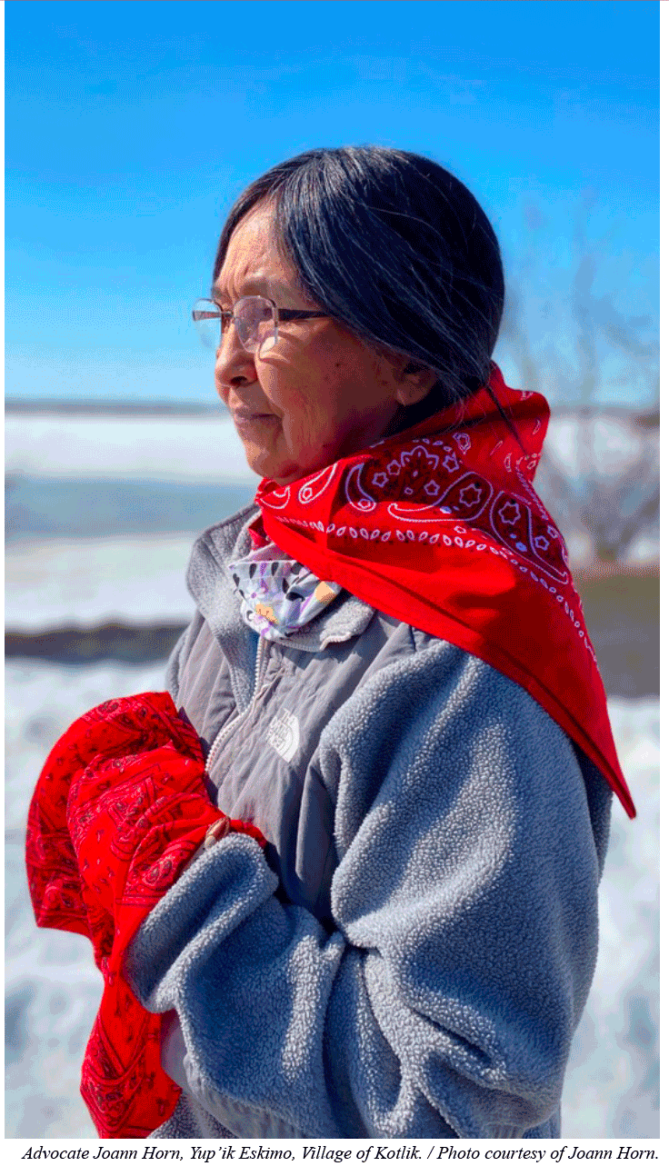 Understanding the Missing and Murdered Indigenous Women Crisis Beyond Individual Acts of Violence