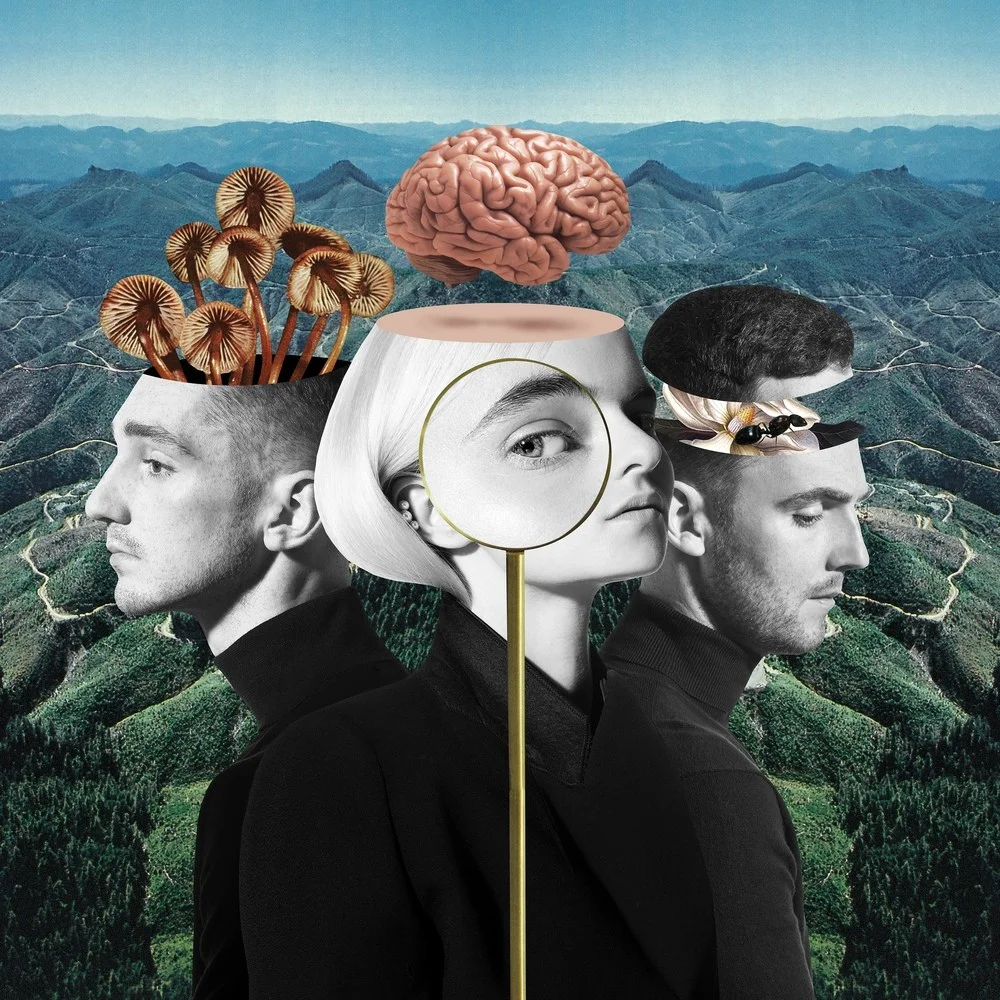 CLEAN BANDIT | 'WHAT IS LOVE?'