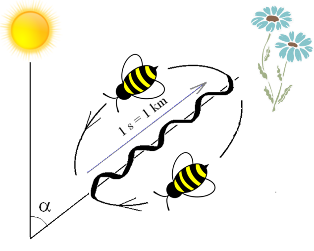 bee.png