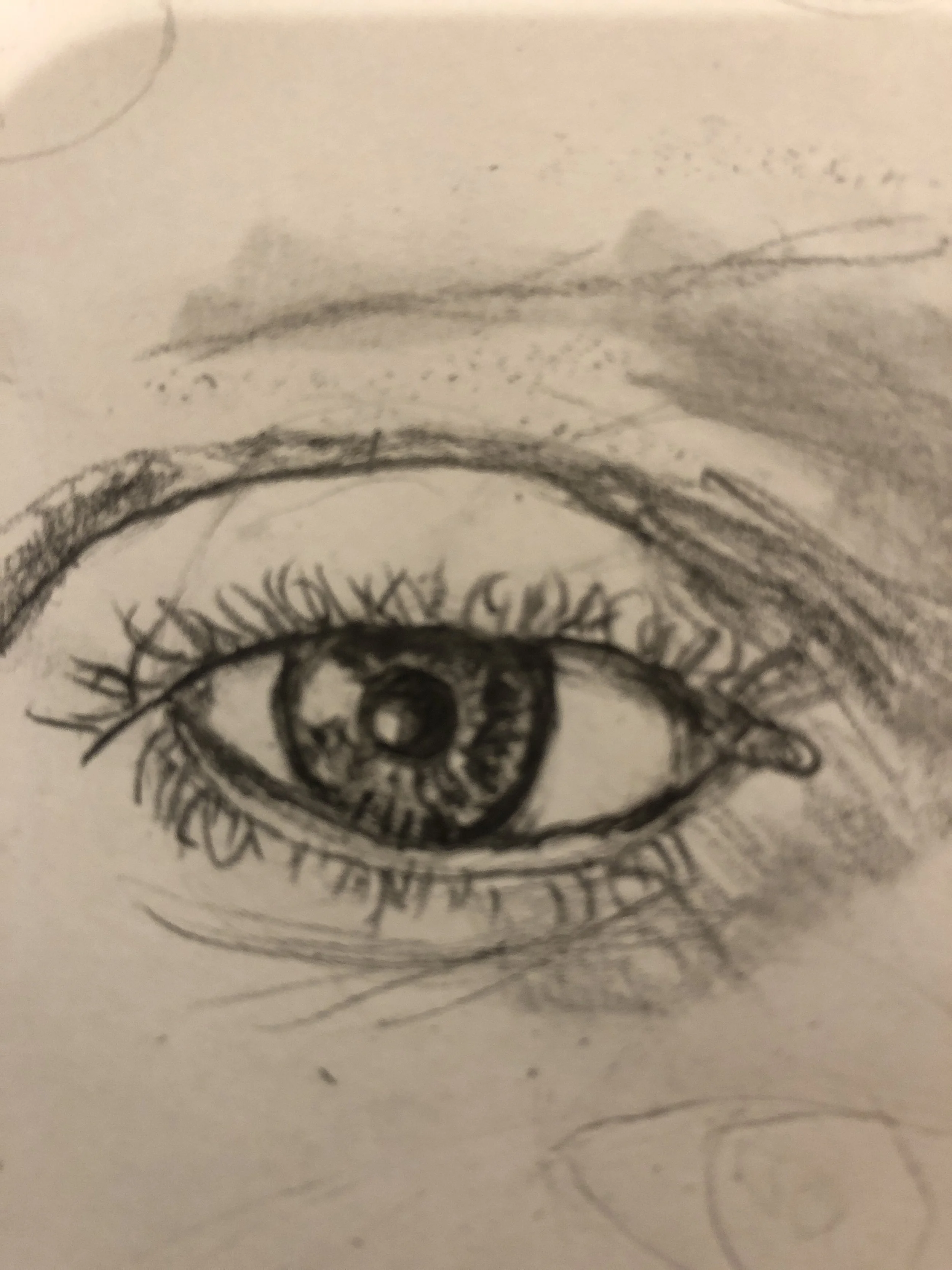 maxflex eye sketch jpeg.JPG