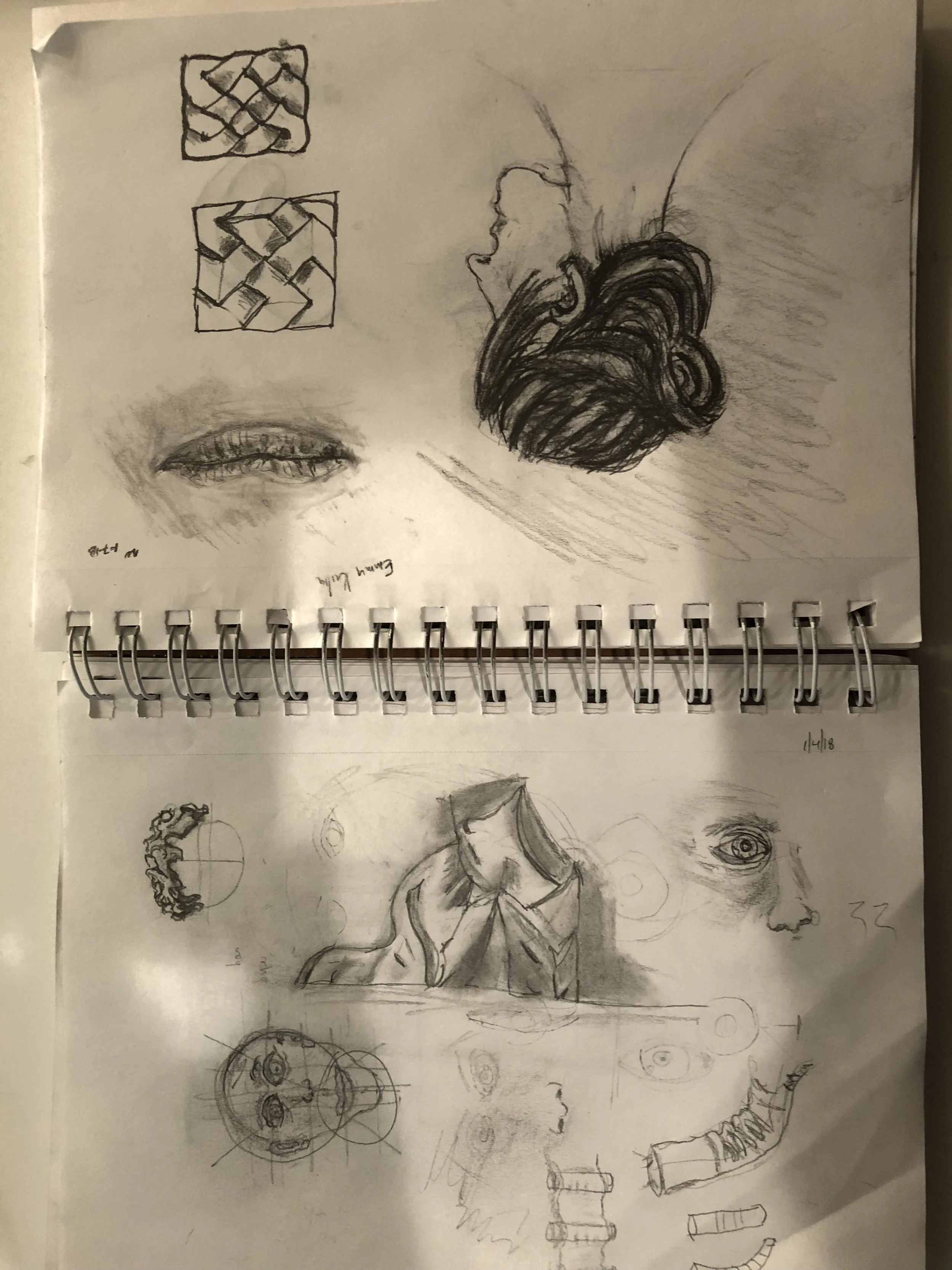 maxflex sketch.jpg