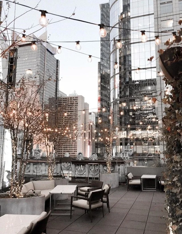Rooftop Blog 2.jpg