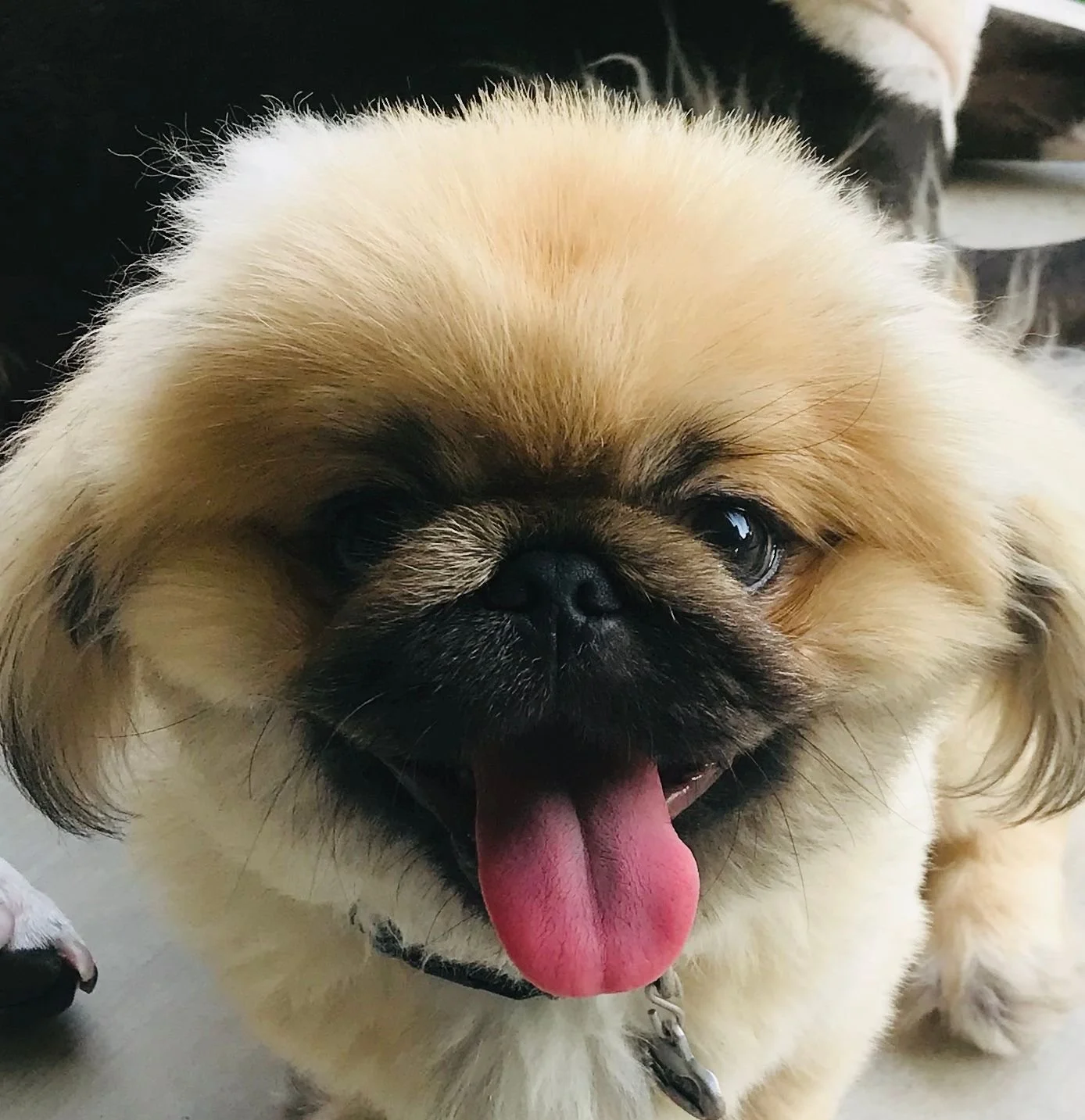 Ted says, "Drink Barts!" Which is conveniently also our website URL. Drink Barts and shop online at our link in bio! #bartsbloodymary #betterbebarts #bartsbarbeverages #shopsmall #drinklocal #shoplocal #buylocal #shopsmallmidland #midlandtx