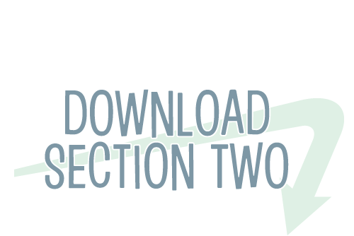 section-2.png