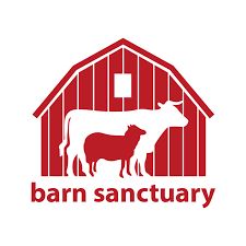 barn sanctuary.jpg