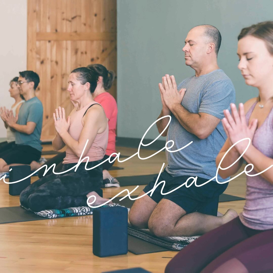 Breathe with us!

#inhaleexhale #breatheyogachelsea #community #connection #miyoga #yogastudio #yogapractice
