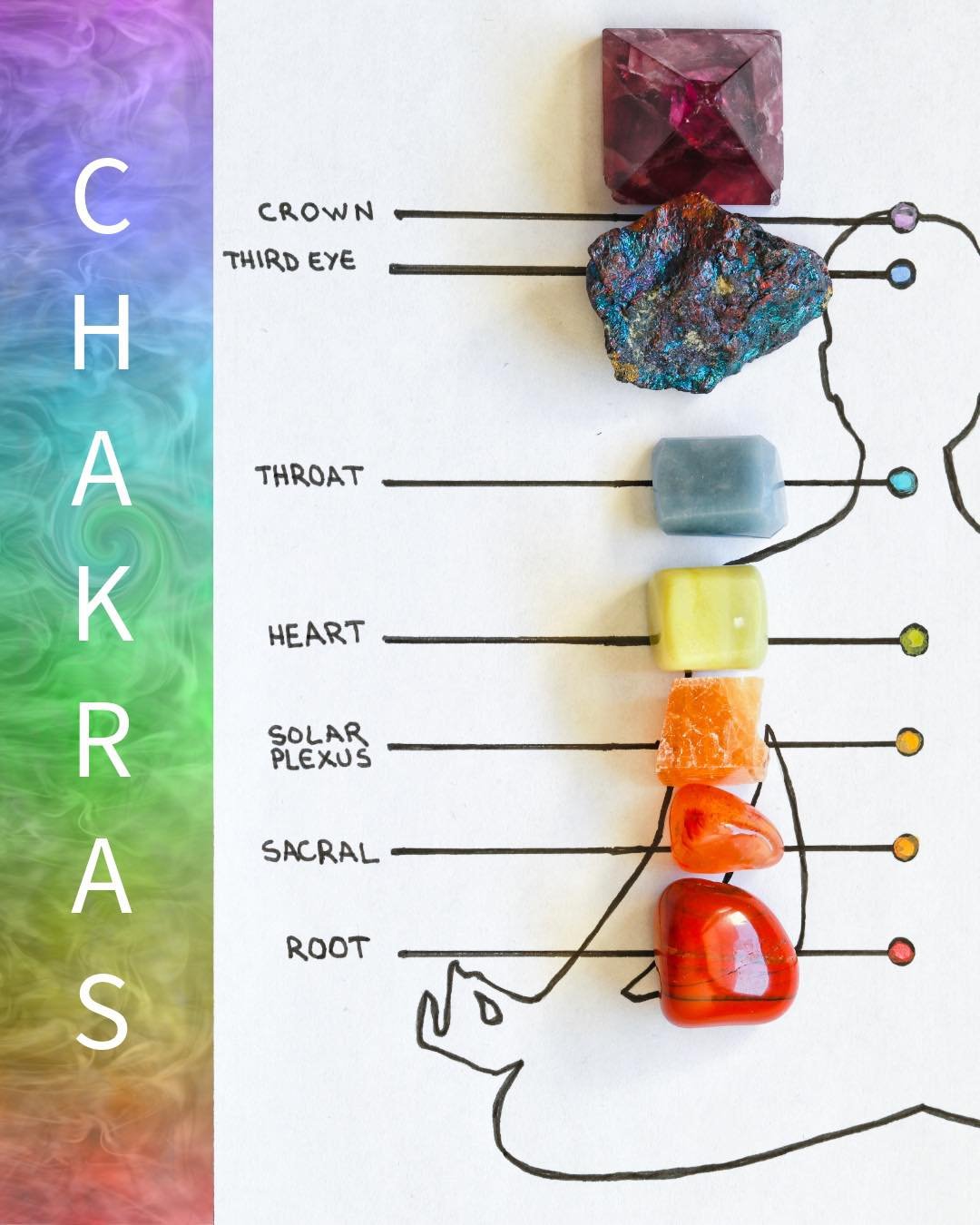 There are 7 main chakras, each with its own location, energy, and influence:

🔴 Root (Muladhara) &ndash; Base of the spine
Grounding, safety, stability.

🟠 Sacral (Svadhisthana) &ndash; Below the navel
Creativity, pleasure, emotional flow.

🟡 Sola