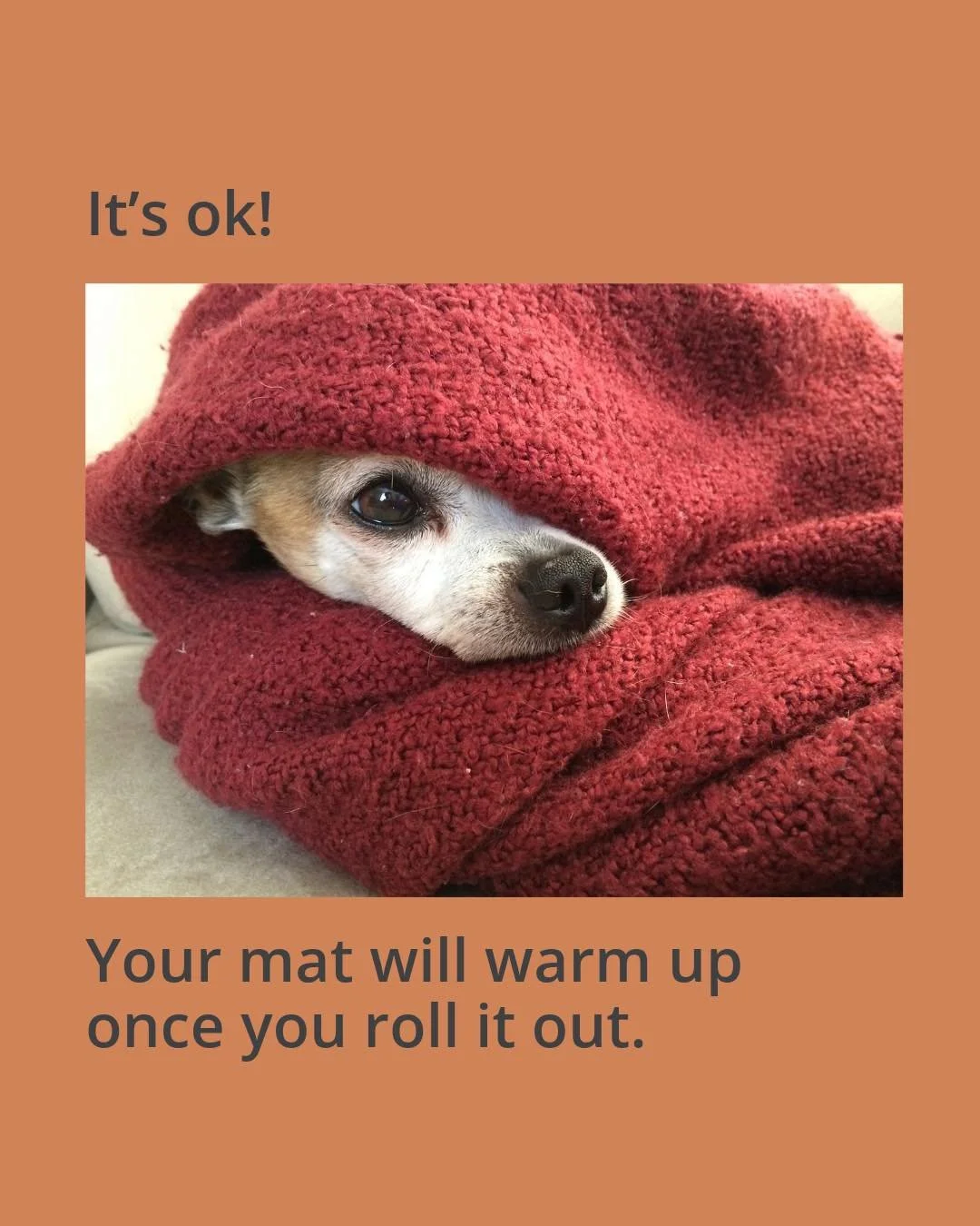 It's ok! Your mat will warm up once you roll it out.

Chilly outside, but it's cozy in the studio.
Join us for ✨ Tuesday ✨ classes.

8:30 amVinyasa | 10:00am Prenatal/ Postpartum Yoga | 11:00am Gentle Yoga | 6:00pm VinYin