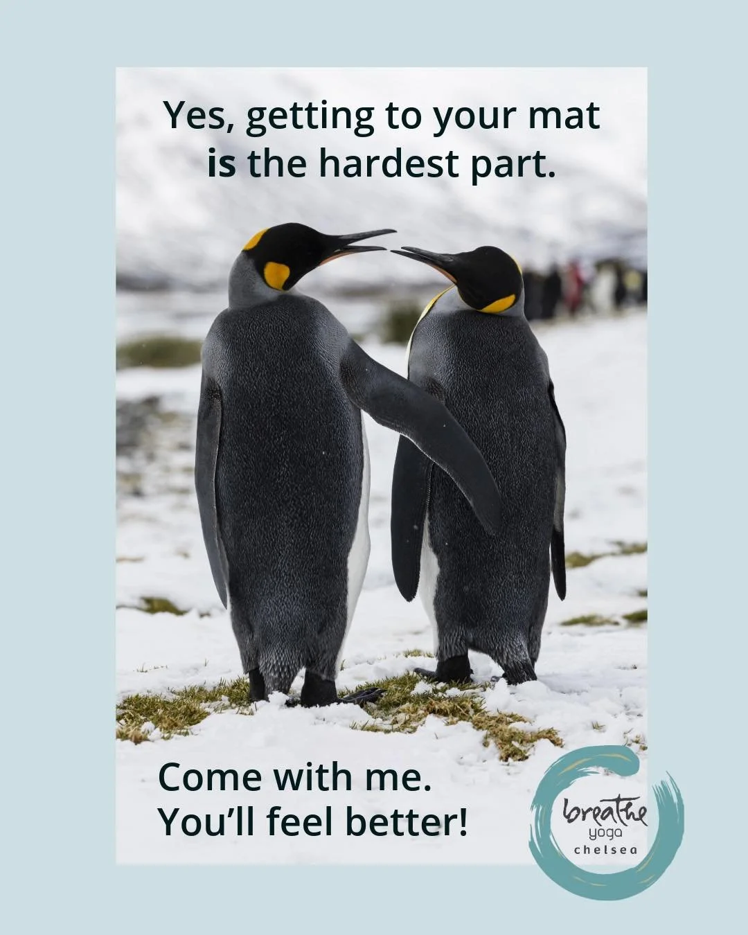 You don&rsquo;t have to feel ready, you just have to arrive!
Join us for classes this first weekend of January. And feel free to leave your cold mat in the car - we have plenty waiting for you at the studio.

✨Friday✨
8:30am - Ashtanga

✨Saturday✨
7: