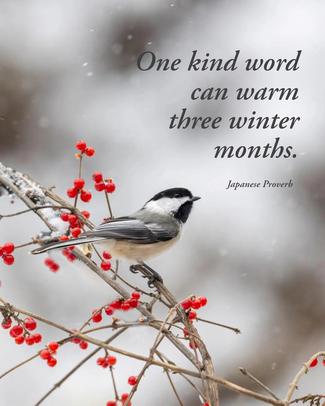 &ldquo;One kind word can warm three winter months.&rdquo;
- Japanese proverb

The chickadee is a living example of this wisdom. Though small, it brings light to winter with its steady presence and familiar call - a simple sound that brings reassuranc