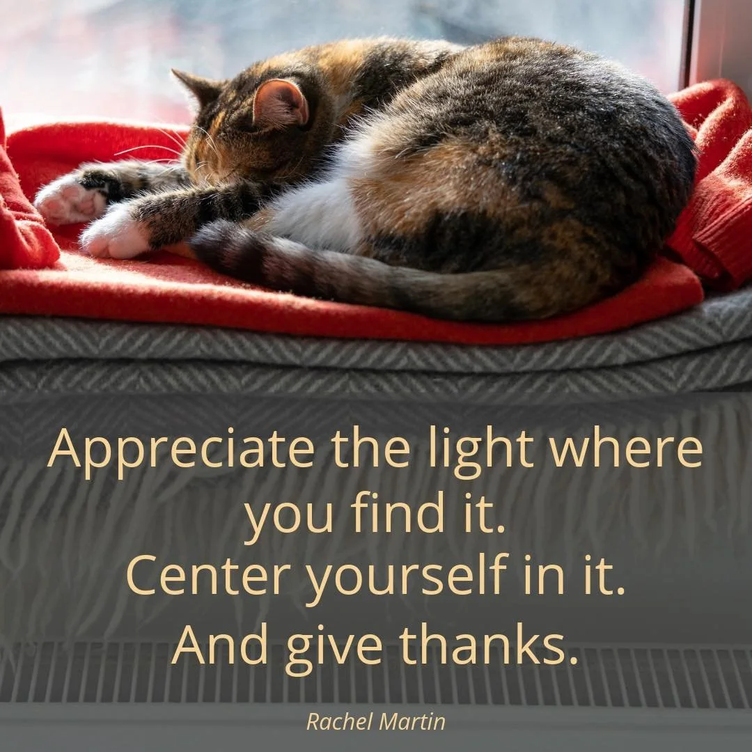 &ldquo;Appreciate the light where you find it. Center yourself in it. And give thanks.&rdquo;
- Rachel Martin

Midweek is a beautiful moment to pause, reset, and notice what&rsquo;s steady and supportive beneath you. Through mindful movement and brea