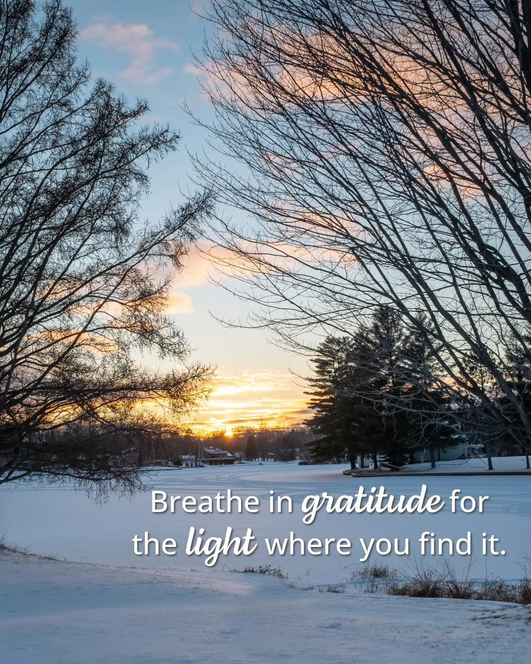 Breathe in gratitude for the light where you find it. 
Let even the smallest moment of joy carry warmth into the rest of your day. 
Join us for ✨Monday✨ classes to move, breathe, and set a positive tone for the week.