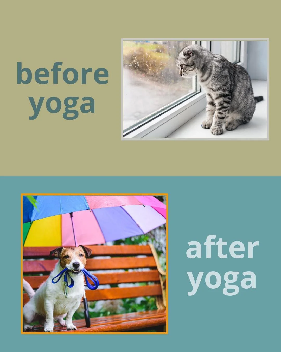 No matter what the weather looks like outside, you can always shift your perspective from the inside out.

Join us ✨Thursday✨ and give yourself space to feel better, right where you are, in this moment.

VinYin | Hatha | Candlelit Yin