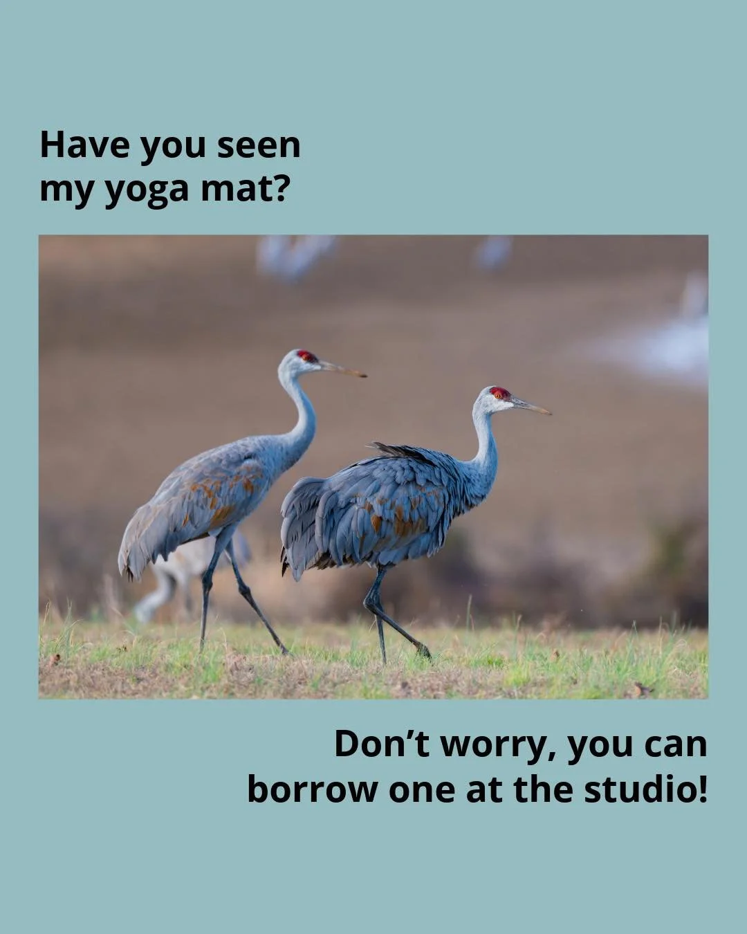 Can&rsquo;t find your yoga mat? No problem. 
Join us anyway for ✨Wednesday✨ classes - you&rsquo;re always welcome to borrow one from the studio, FREE of charge!

6:30 Ashtanga | 8:30am Slowflow | 6:00pm Pilates