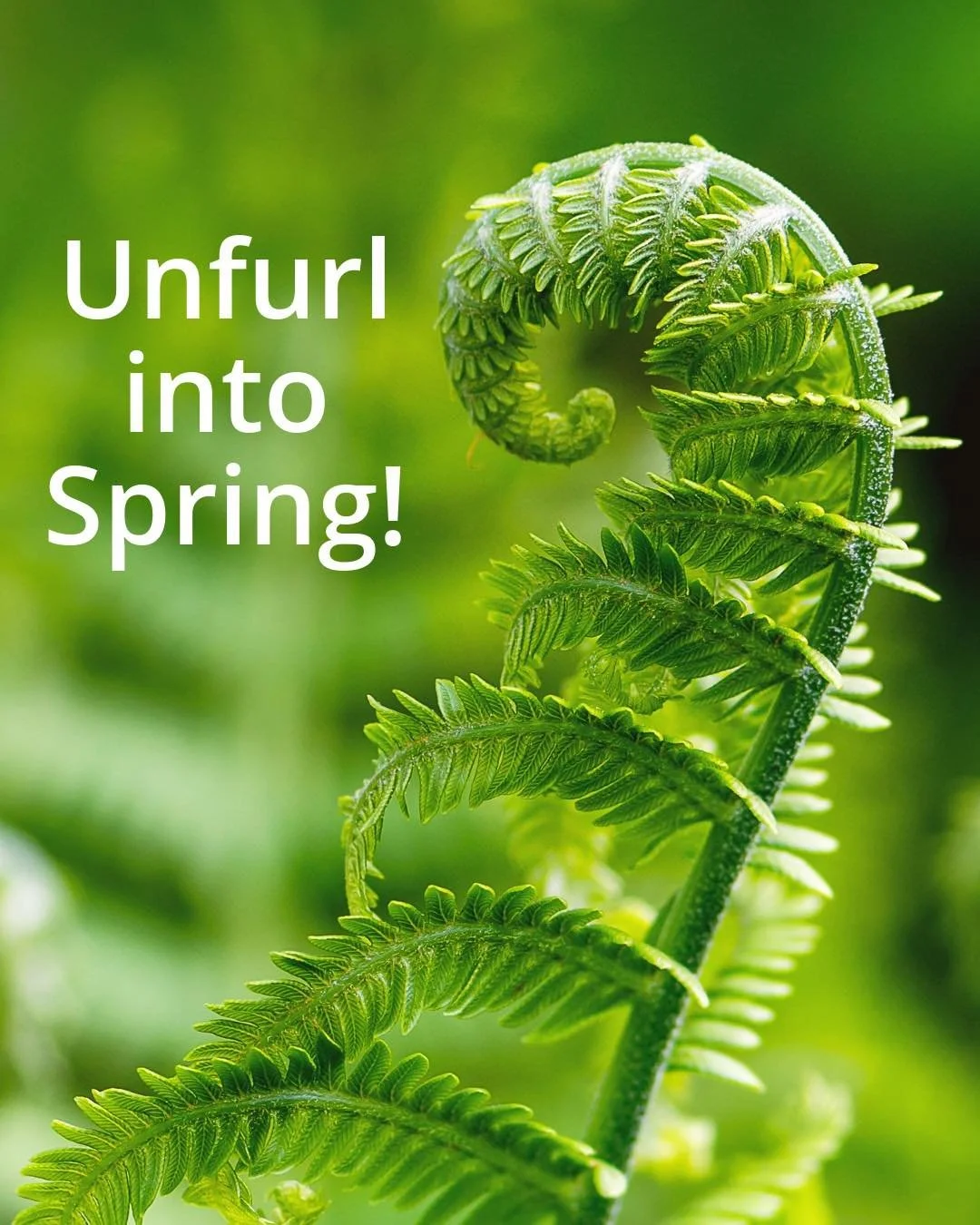 Unfurl into Spring 🌿

Join us ✨Wednesday✨ for yoga + Pilates.
Move, reset, and begin again.