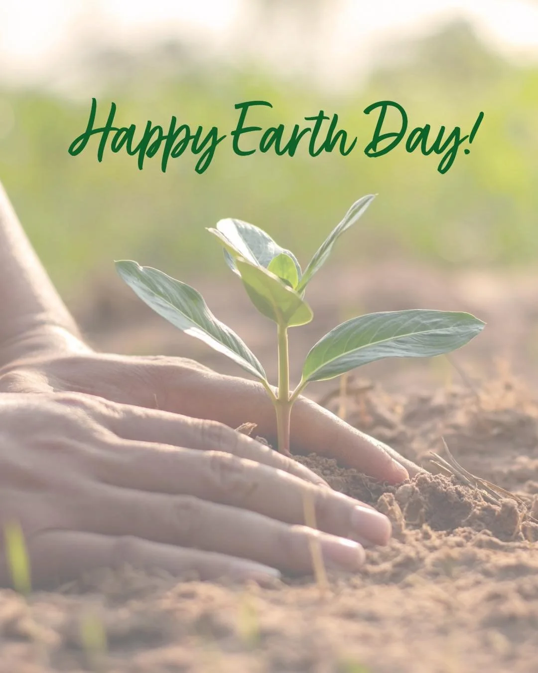 Today is a gentle reminder that your practice doesn&rsquo;t end at the mat - it extends into how you move through and care for the world around you.

Root down like the trees.
Breathe with the rhythm of the earth.
Find steadiness, softness, and space