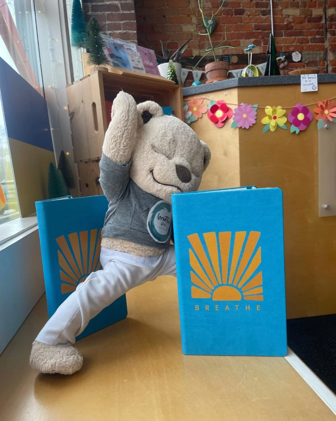 New journals have arrived!

Come in for class on ✨Thursday✨ and take a look. 

VinYin, Hatha, Pilates, Candlelit Yin - a little space to move, reflect, and reset.

Join us for class and maybe write down your favorite pose or postures afterwards 🧡