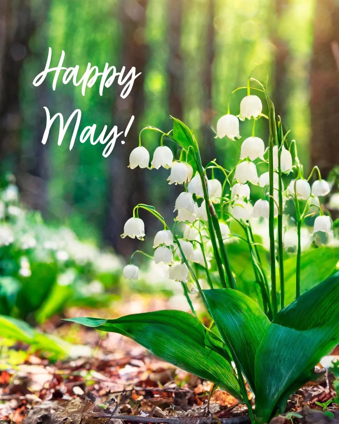 Happy May! 

Join us for a beautiful weekend of Yoga and Pilates classes as we step into a new month together.

Also...Friday evening, we gather under the first Full Moon of May -- the Flower Moon - for Lunar Slowflow (a grounding, moon-inspired even