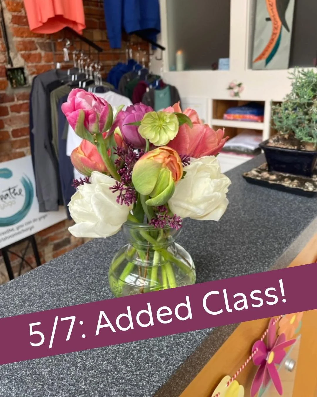 Calling all early risers! ✨

Schedule update for tomorrow, May 7: join us at 6:30am for VinYin (virtual option available!)
A wonderfully balanced practice of poses to warm you up, and then longer holds to stretch things out.

And if that's too early 
