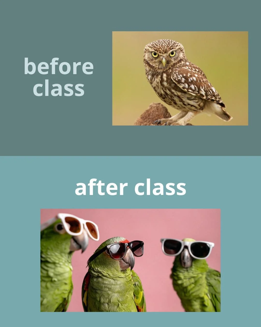Shift your perspective. Shift your attitude.

Join us for class and notice how you feel afterward. You may leave feeling a little lighter, a little calmer, a little more connected. Sometimes the smallest shift can change the whole day!
