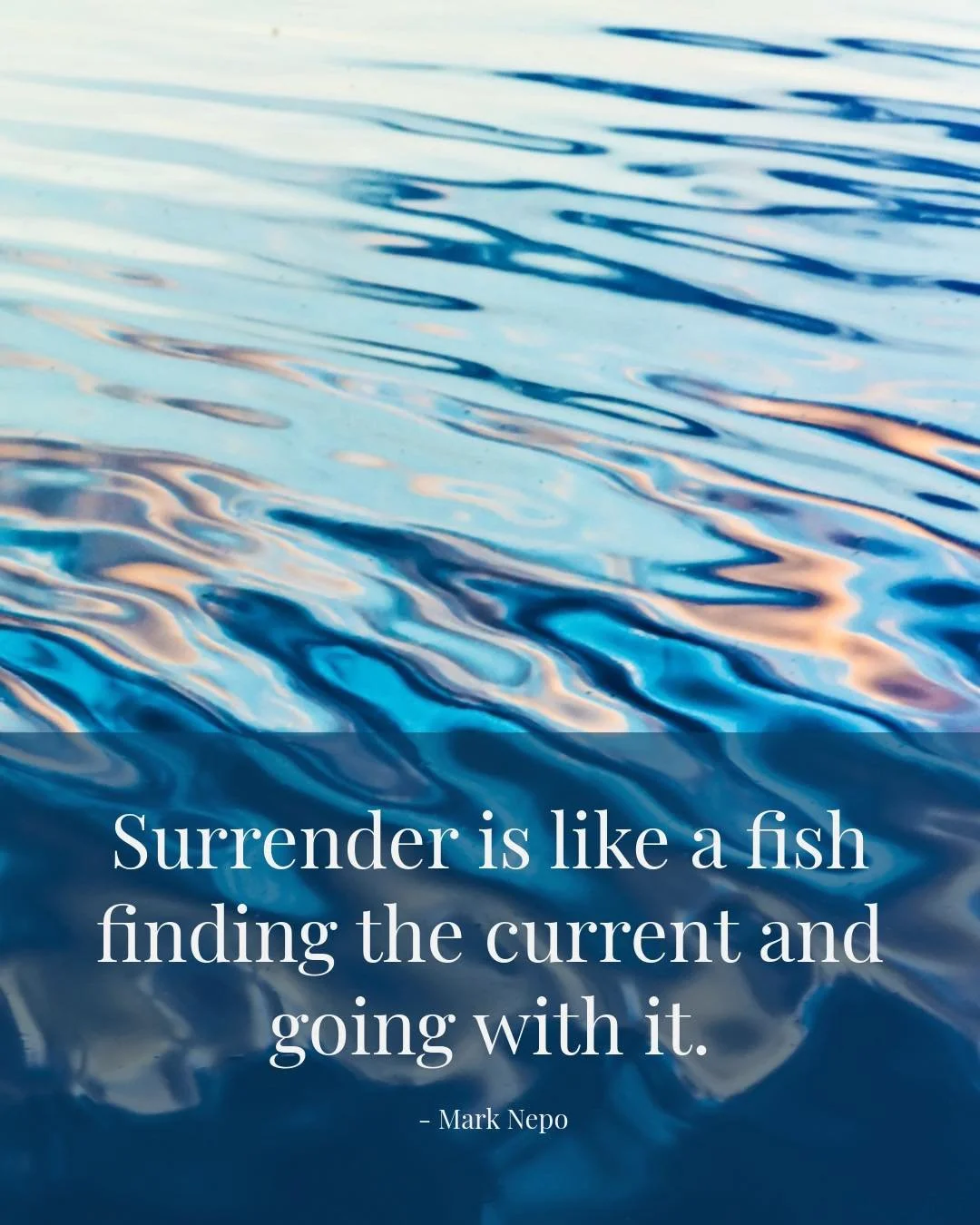 It's hot out there! Stay hydrated, and join us in our cool, comfortable studio space to reconnect with your breath.

"Surrender is like a fish finding the current and going with it." &mdash; Mark Nepo

This Tuesday, our practice invites us 