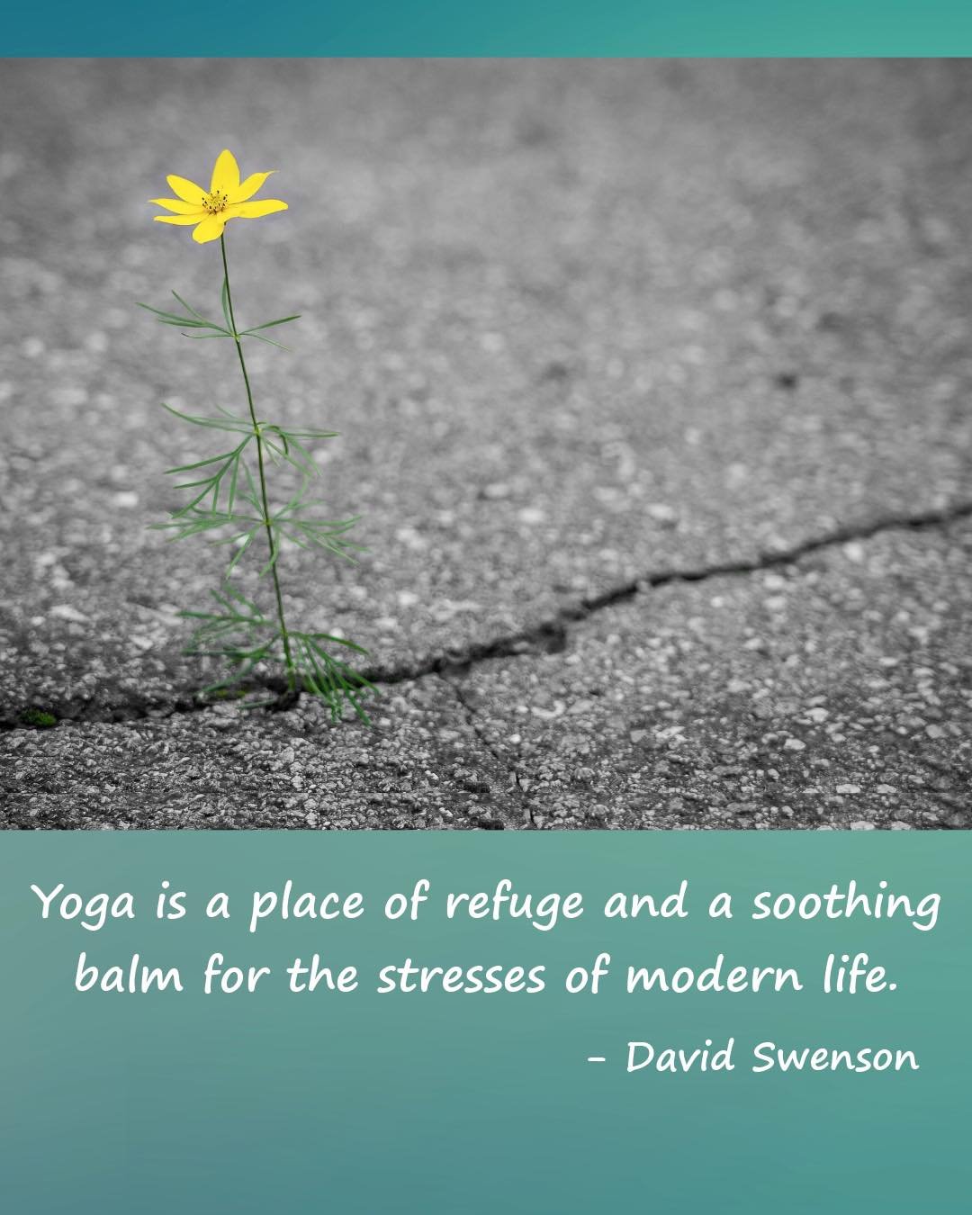 &ldquo;Yoga is a place of refuge and a soothing balm for the stresses of modern life.&rdquo;
- David Swenson

Life can ask a lot of us. Our practice offers a place to step away from the noise, reconnect with the breath, and simply be.

Not to fix eve