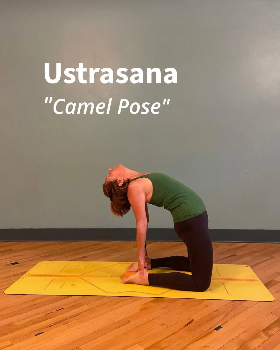 Ustrasana | Camel Pose 

Ustra = camel
Asana = pose

Camel Pose opens the front of the body while strengthening the legs and back, expanding through the chest and shoulders, and encouraging a sense of openness and confidence.

Focus points:
&bull; Gr