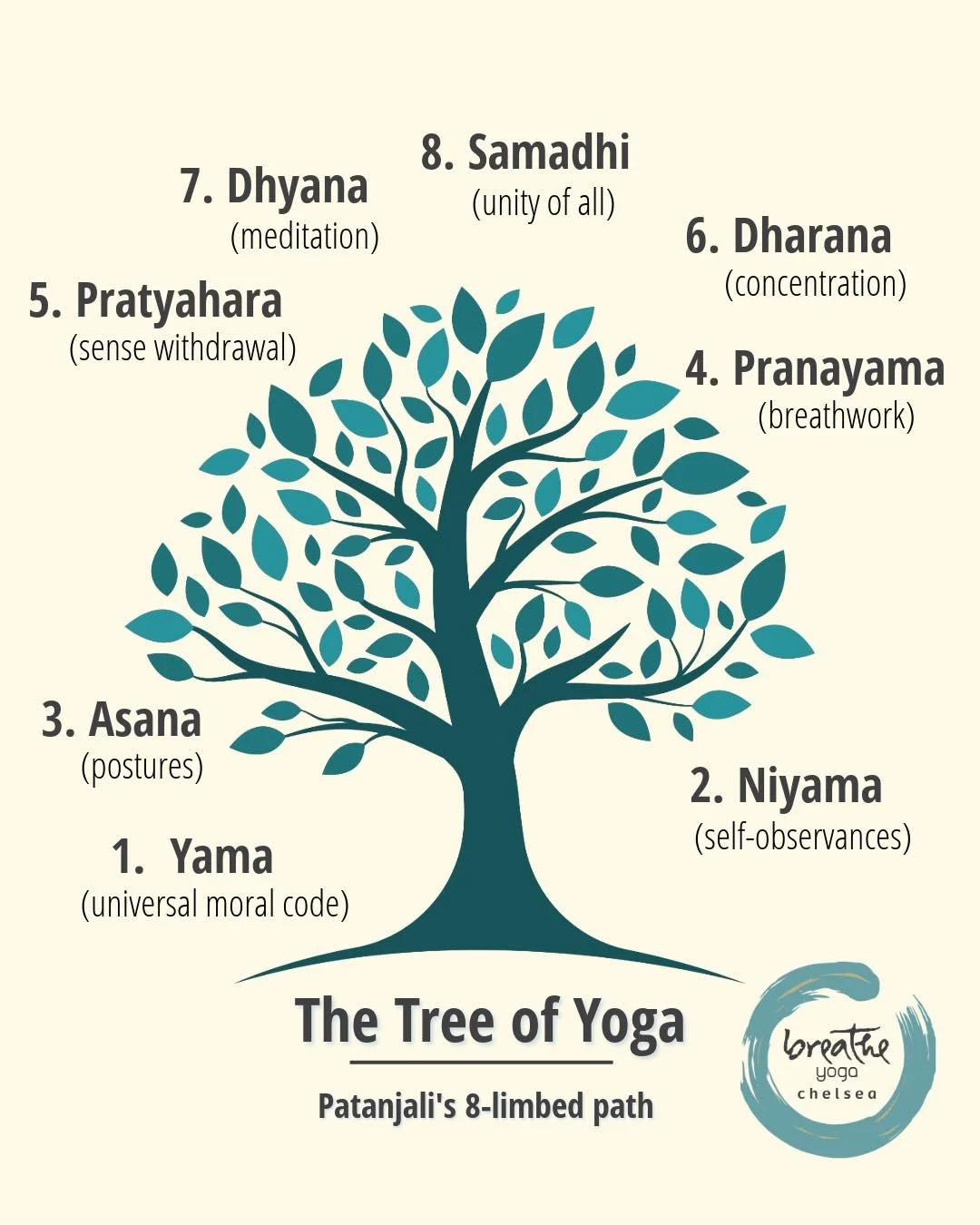 🌿 The Yoga Tree: Patanjali&rsquo;s 8-Limbed Path

Yoga is more than what we do on our mats. In The Yoga Sutras, Patanjali describes an eight-limbed path that offers guidance for how we practice, live, relate, and grow.

Think of it as a Yoga Tree: e