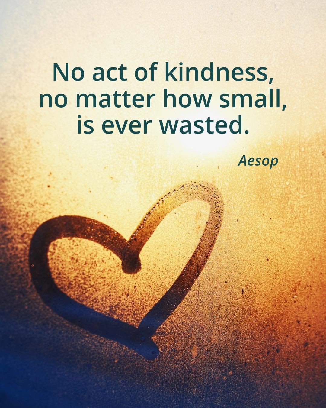 &ldquo;No act of kindness, no matter how small, is ever wasted.&rdquo; - Aesop

Kindness matters.

As we focus on Ahimsa (non-violence / loving-kindness) this week, our yoga practice gives us a chance to notice the small choices we make:

Do we push 