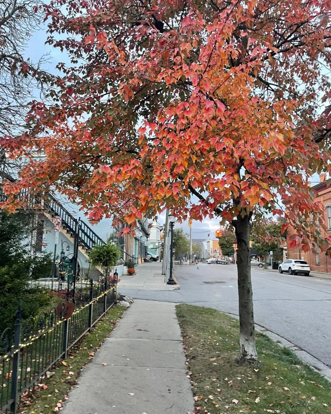 Ahimsa + Satya

Begin the first weekend of October with a little more kindness and a little more truth.

Be gentle with yourself.
Listen to what you need.
Trust what you feel.
And let your practice meet you exactly where you are.

Weekend Classes at 