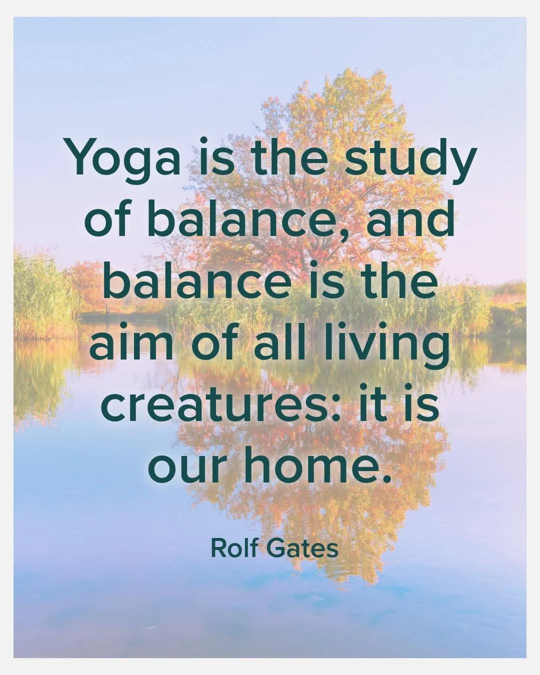 This week, we turn to the fourth Yama: Brahmacharya.

Often understood as moderation or the wise use of our energy, Brahmacharya invites us to move toward what is essential and find balance in how we live, practice, and connect.

Where are you giving
