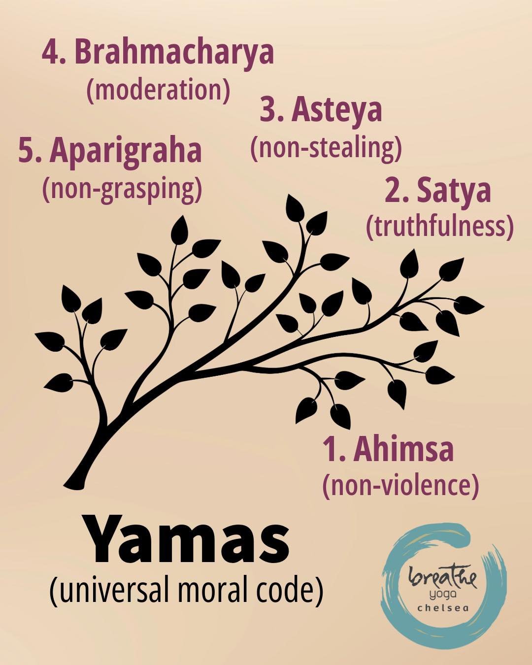 The Five Yamas | A Foundation for Practice

This past week, we concluded our exploration of the Yamas with the fifth branch: Aparigraha - non-grasping.

As we look back on the first limb of yoga, we revisit the five Yamas, often described as self-res