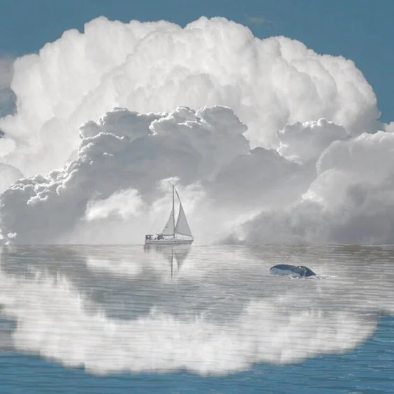 Sailing 1.jpg